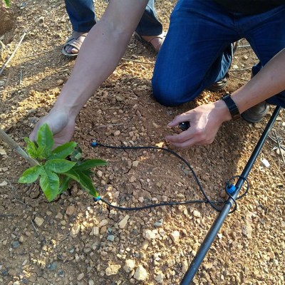 茂源牌滴箭 優(yōu)質(zhì)灌溉滴箭的領(lǐng)先選擇與實(shí)用指南